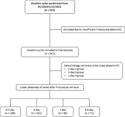 Influence of the starting day of luteal phase stimulation on double stimulation cycles